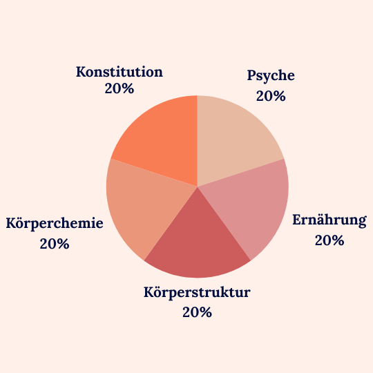 Körper kohärenz
